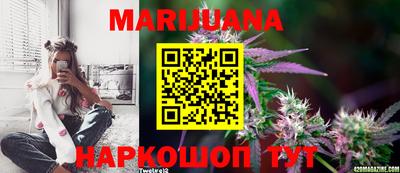 мдпв Шебекино