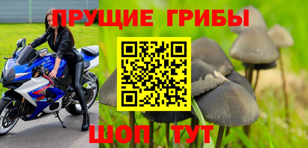 Галлюциногенные грибы MAGIC MUSHROOMS  Вход с VPN  Псилоцибиновые грибы мицелий  Севастополь 